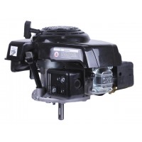 Двигатель 1P65F (с вертикальным валом) (5.5 л.с.) TT