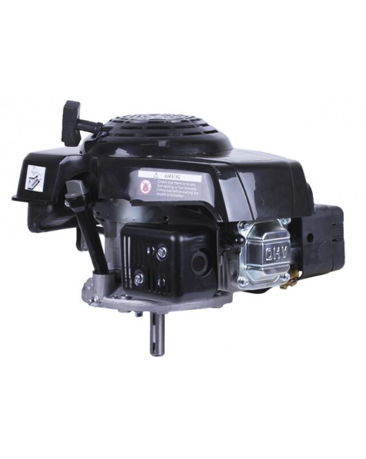 Двигатель 1P65F (с вертикальным валом) (5.5 л.с.) TT