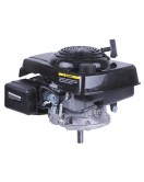 Двигатель 1P65F (с вертикальным валом) (5.5 л.с.) TT