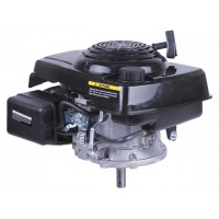 Двигатель 1P65F (с вертикальным валом) (5.5 л.с.) TT