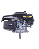 Двигатель 1P65F (с вертикальным валом) (5.5 л.с.) TT