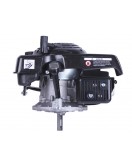 Двигатель 1P65F (с вертикальным валом) (5.5 л.с.) TT