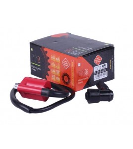 Катушка зажигания + надсвечник - СВ-125/150 - TTG