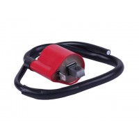 Катушка зажигания + надсвечник - СВ-125/150 - TTG