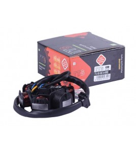 Якорь генератора (6 катушек) - Альфа - TTG