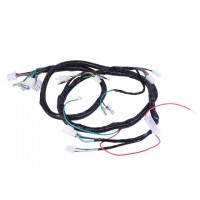 Проводка центральная - 125/150CC - TTG