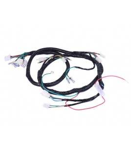 Проводка центральная - 125/150CC - TTG