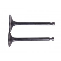 Клапаны, к-т: 2 шт. (тип 2) - 178F YBX