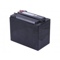 Аккумулятор 55AH 12V (тяговый) 223*123*175 мм - TTG