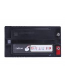 Аккумулятор 55AH 12V (тяговый) 223*123*175 мм - TTG