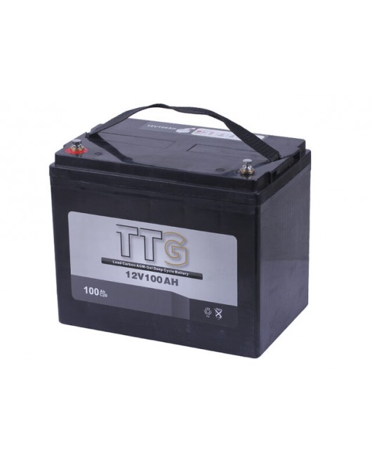 Аккумулятор 100AH 12V (тяговый) 260*168*214 мм - TTG
