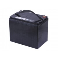 Аккумулятор 100AH 12V (тяговый) 260*168*214 мм - TTG