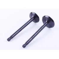 Клапаны, к-т: 2 шт. - ZS/ZH1100 YBX