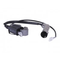 Катушка зажигания - 3.2KW/4.8KW
