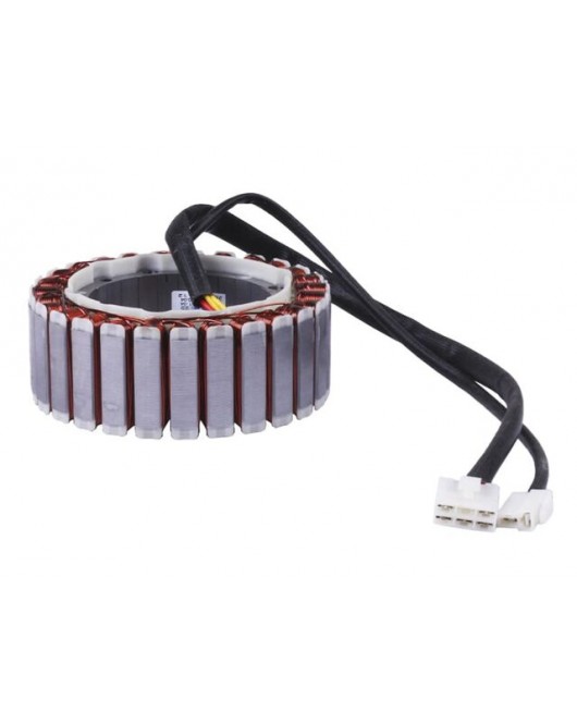Якорь генератора - 4.5KW/4.8KW