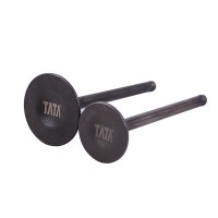 Клапаны, к-т 2 шт. - 150СС - Premium