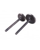 Клапаны, к-т 2 шт. - 150СС - Premium