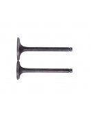 Клапаны, к-т 2 шт. - 150СС - Premium