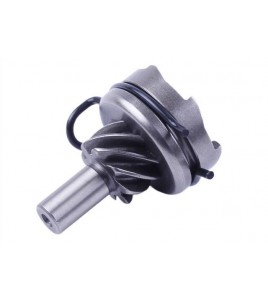 Храповик + пружина - 50CC4T