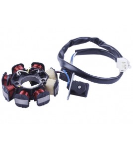 Якорь генератора (6+2) - 50CC4T