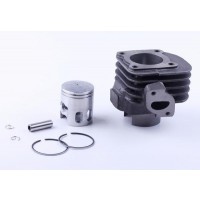 Поршневая (ЦПГ) 44 мм, к-т: 9 единиц - 65CC/ 50СС2T