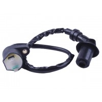 Катушка зажигания + надсвечник - 4T