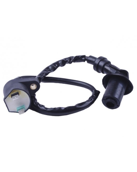 Катушка зажигания + надсвечник - 4T