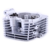 Головка цилиндра в сборе - ZUBR