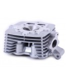 Головка цилиндра в сборе - ZUBR Головка цилиндра в сборе - ZUBR