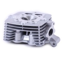 Головка цилиндра в сборе - ZUBR