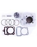 Поршневая (ЦПГ) 62 мм, к-т: 11 единиц - ZUBR