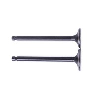 Клапаны, к-т: 2 шт. (тип 2) - ZUBR