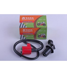Катушка зажигания + надсвечник - 4T - Premium