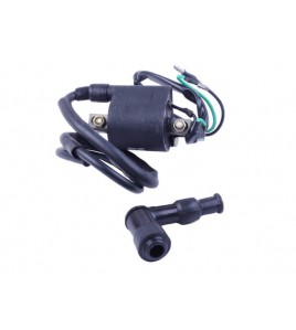 Катушка зажигания + надсвечник - Дельта