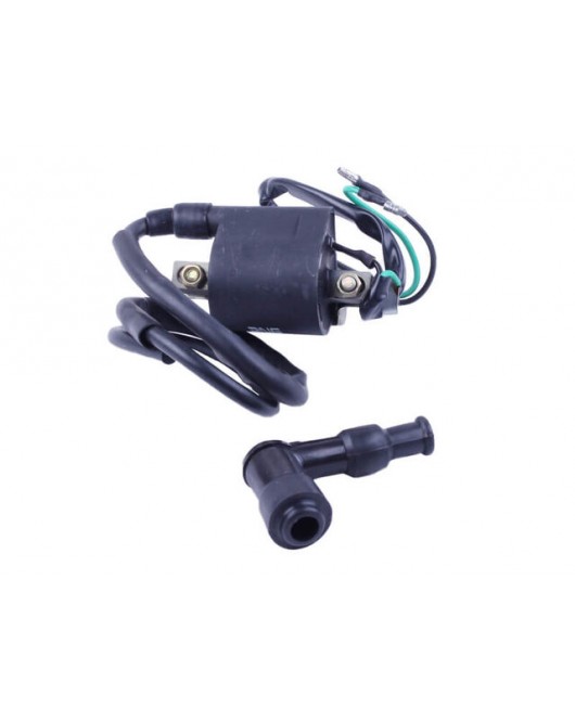Катушка зажигания + надсвечник - Дельта