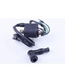 Катушка зажигания - Дельта УЦЕНКА