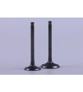 Клапаны диаметр 20/23 мм, к-т: 2 шт.- Дельта/Альфа - Premium