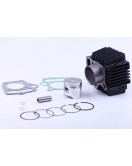 Поршневая (ЦПГ) 50 мм, к-т: 12 единиц - 100СС - Дельта/Альфа