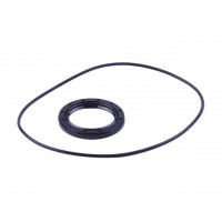 Сальник + уплотнитель пластины сцепления - Дельта/Альфа