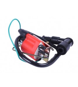 Катушка зажигания + надсвечник - Альфа