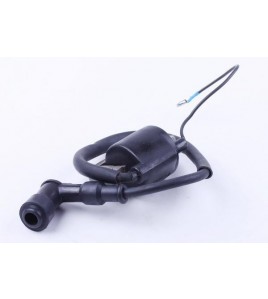 Катушка зажигания - Актив