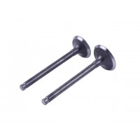 Клапаны, к-т 2 шт. - Актив/Дельта/Альфа