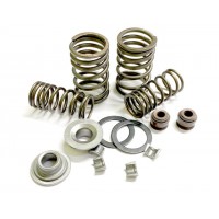 Клапанный механизм (без клапанов) - Актив/Дельта/Альфа УЦЕНКА