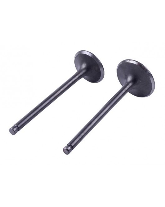 Клапаны, к-т: 2 шт. - ZUBR