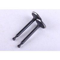 Клапаны, к-т: 2 шт. - 168F - Premium