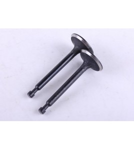 Клапаны, к-т: 2 шт. - 168F - Premium