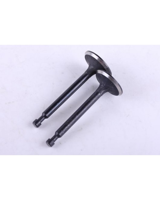 Клапаны, к-т: 2 шт. - 168F - Premium