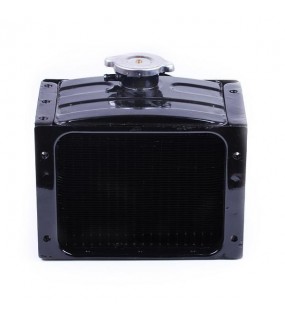 Радиатор (латунь) с крышкой - 180N