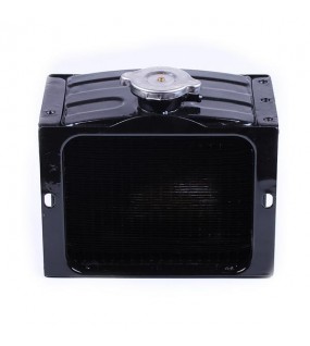 Радиатор (латунь) с крышкой - 180N