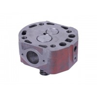 Головка цилиндра в сборе (на мототрактор под форсунку диаметр 21 мм) - 192N YBX